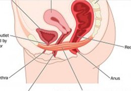 cystocele prolapse specialist doctor