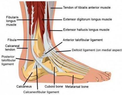 Ankle Pain Specialist NYC