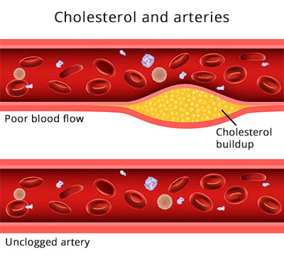 Diseases and Conditions we Treat